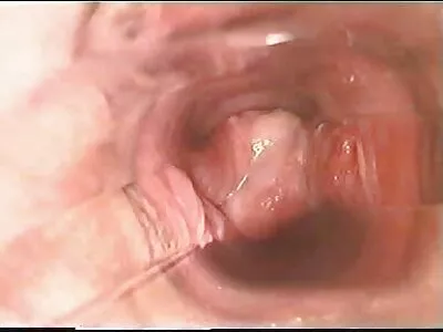 Heiße kostenfreie pornofilme mit reifen frauen Sonntagmorgen-Fick-Doggy-Session, viel Spaß mit meinen Freunden