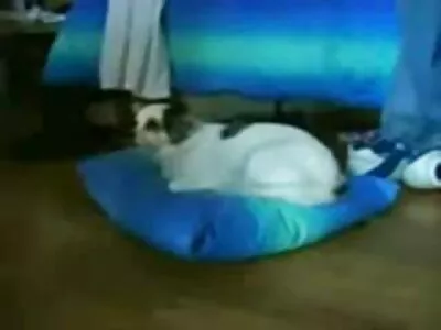 Sie kostenfreie pornofilme mit reifen frauen hat überhaupt keinen Würgereflex